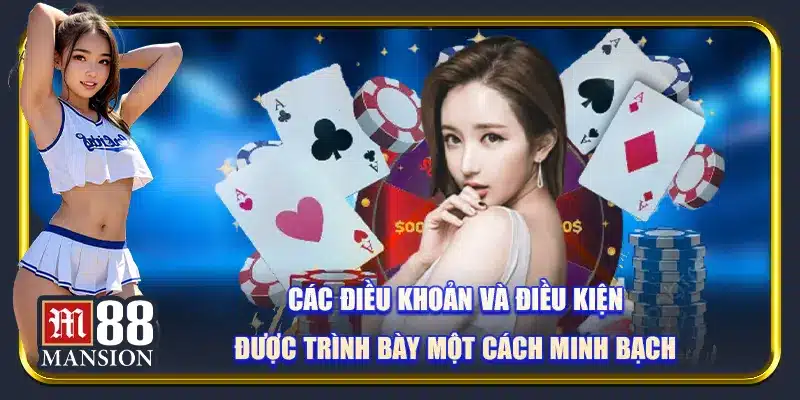 Các điều khoản và điều kiện được trình bày một cách minh bạch