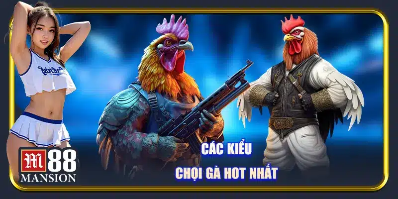Các kiểu chọi gà hot nhất