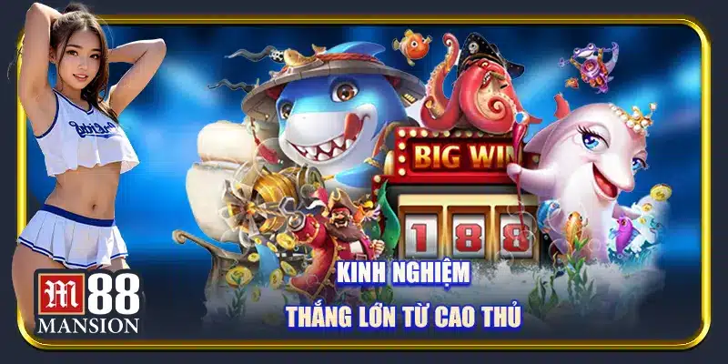 Kinh nghiệm thắng lớn từ cao thủ